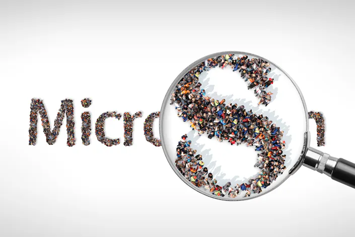 InfraTec Glossary MicroScan - Bildnachweis: © iStock.com / mattjeacock and coprid