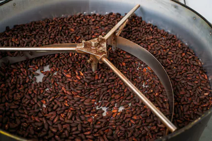 Roasting Cocoa Beans Efficiently and Safely Roasting Cocoa Beans Efficiently and Safely