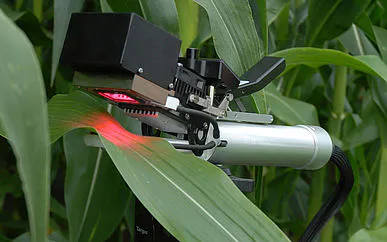 Measurement of photosynthesis in the field