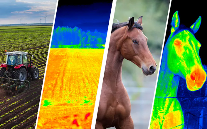 InfraTec: thermography in agriculture | Picture credits: © istock / valio84sl-alexia-khruscheva