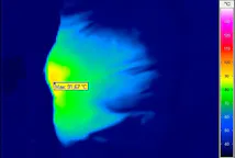 thermal imaging of an airbag explosion
