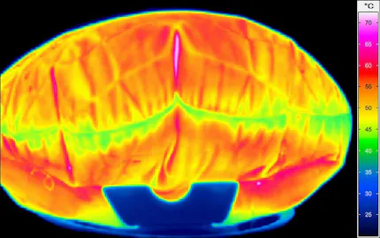 Thermal image during ignition of an airbag  Image Small  